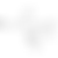 Natriumtetradecylsulfat: Chemische Formel
